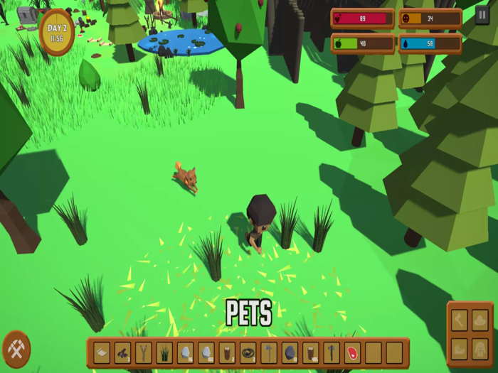 Survival Wild Forest