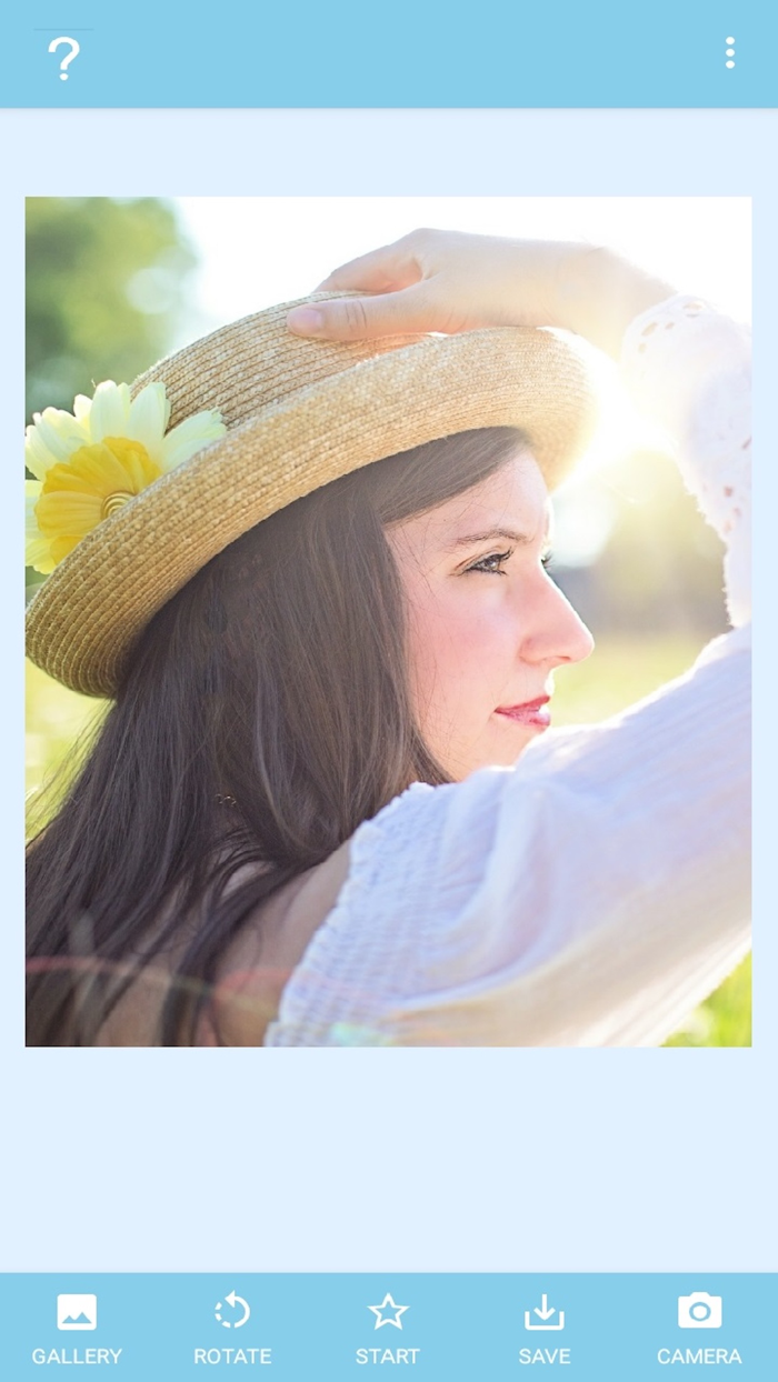 Art-Snap AI transform picture