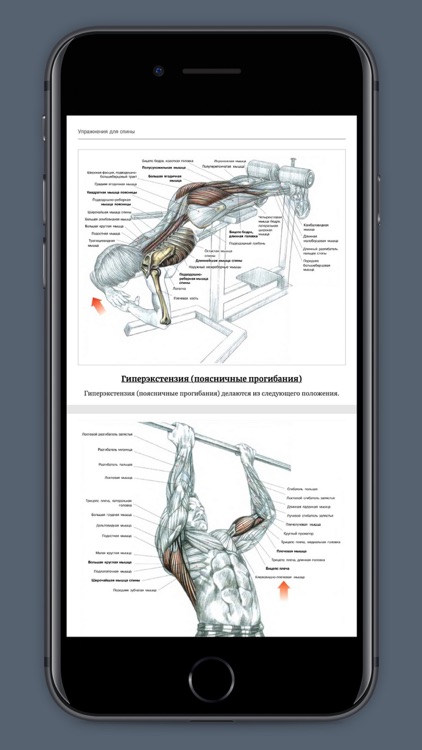 WowFit фитнес и йога