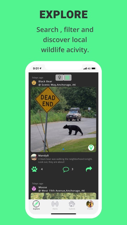 Repawts - Wildlife Safety