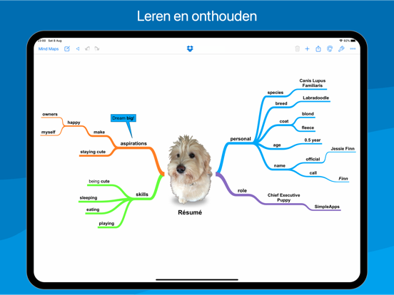 SimpleMind - Mind Maps