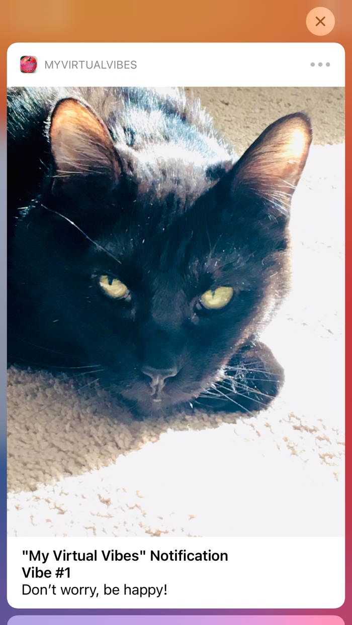 My Virtual Vibes