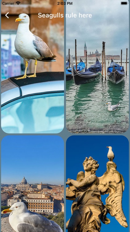 Italy Wallpapers screenshot-7