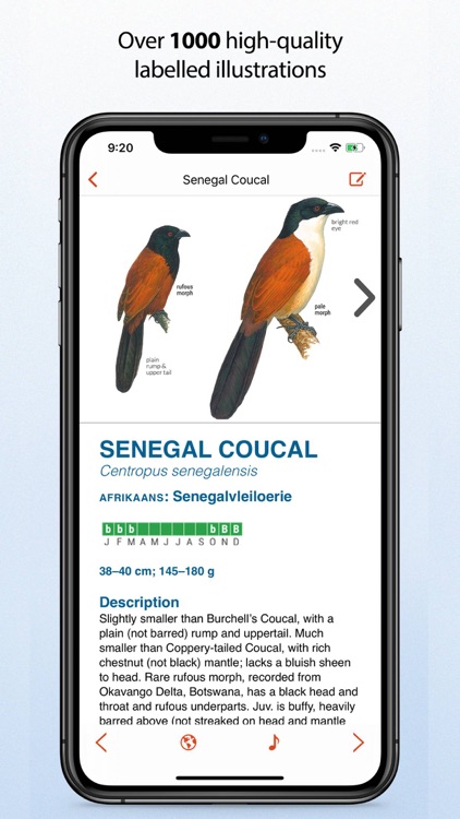 Sasol eBirds Southern Africa screenshot-4