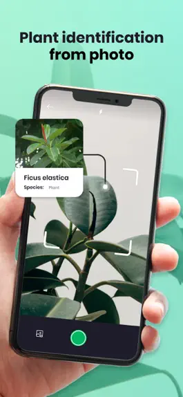 Game screenshot Identify trees - Plant finder mod apk