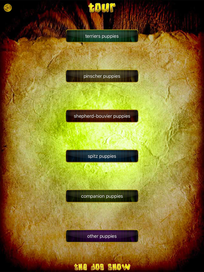 Animals 360 - Dogs Gold