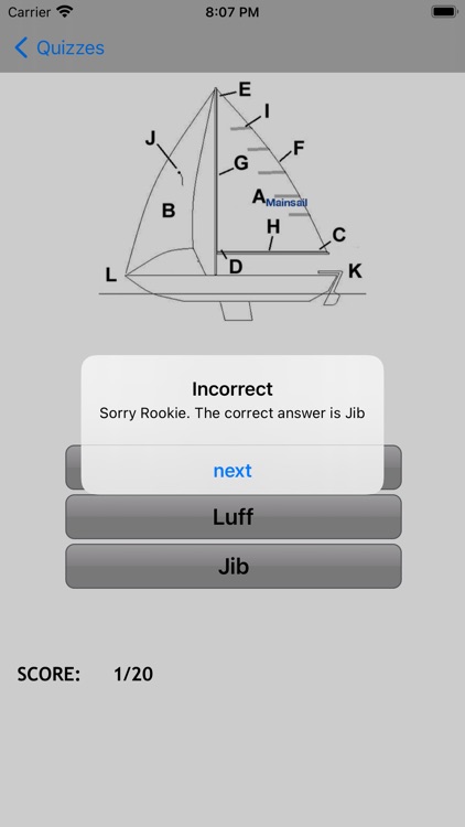 American Sailing 101 & 103 screenshot-3