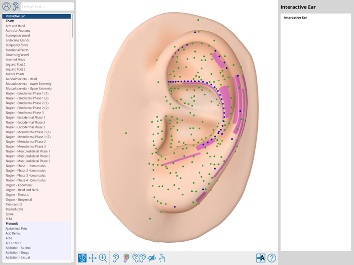 Auriculo 360 - The Living Ear