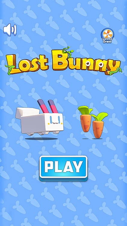 Lost Bunny 2