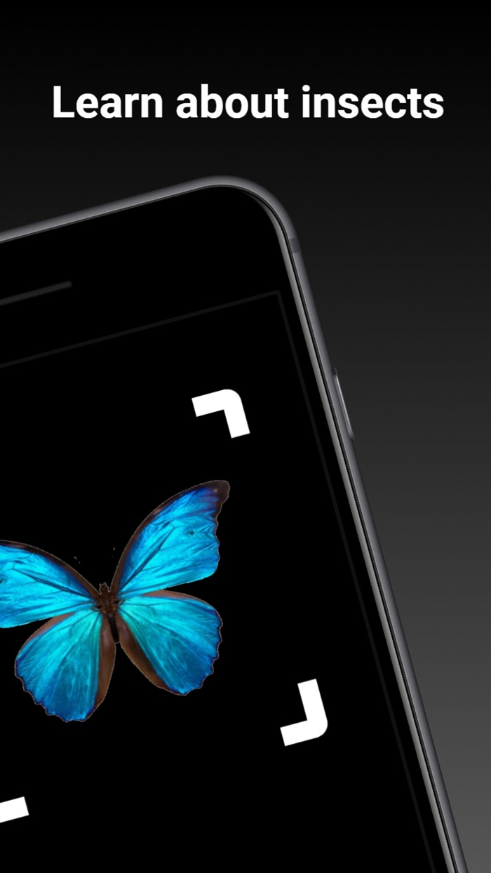 Bug Identifier - Insect ID