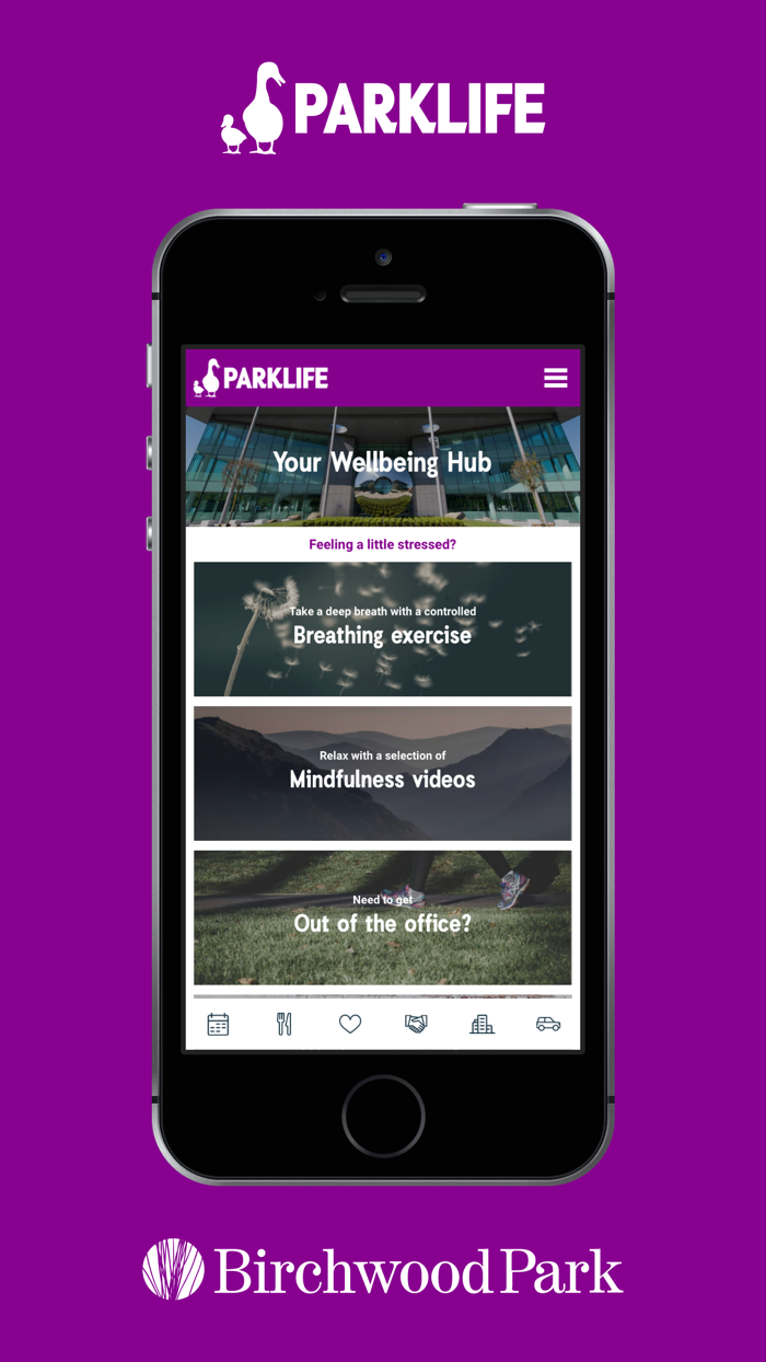 Birchwood Park - Parklife