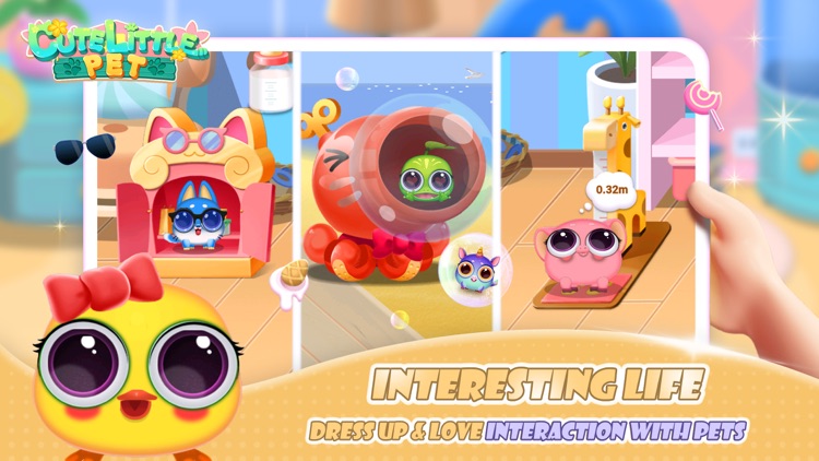 Little Cute Pets screenshot-3