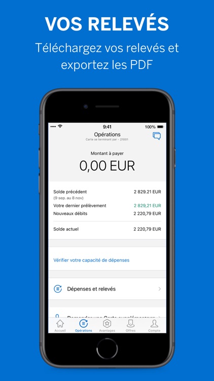 Amex France