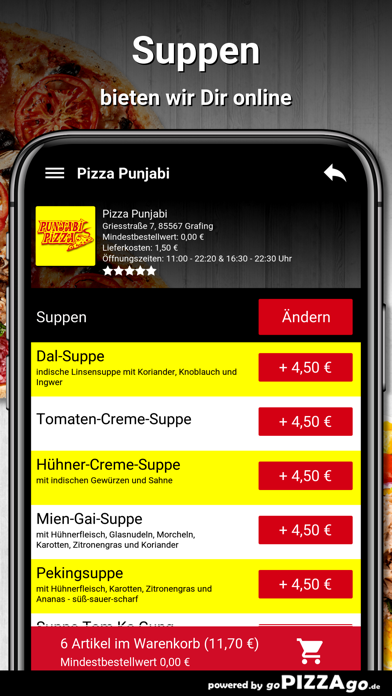 Pizza Punjabi Grafing screenshot 5