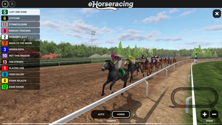 eHorseracing.com Race Viewer screenshot-4