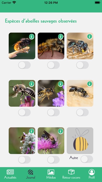 Les Dorloteurs d'Abeilles screenshot-3