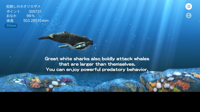 Great white shark breeding AR