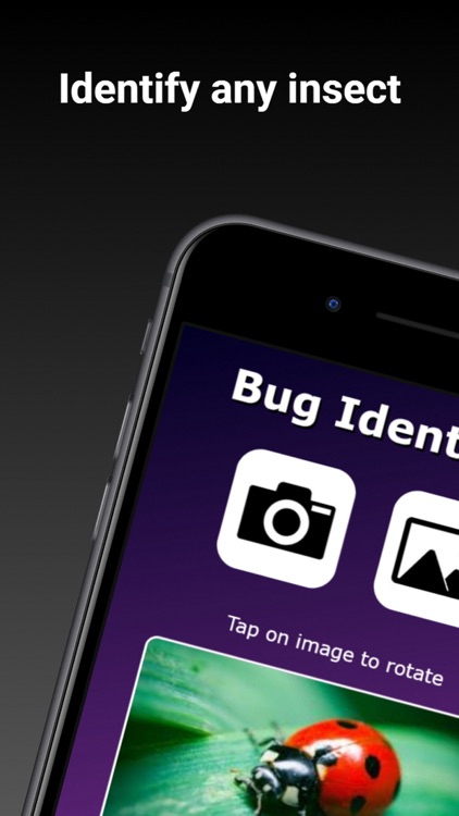 Bug Identifier - Insect ID