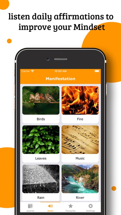 Manifestation Journal screenshot-4