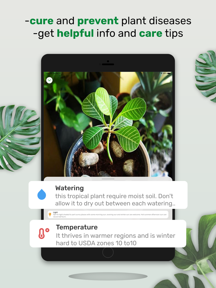 Plantinapp  Plant Identifier