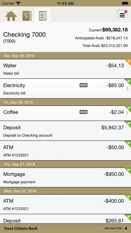 Texas Citizens Bank Business screenshot-4