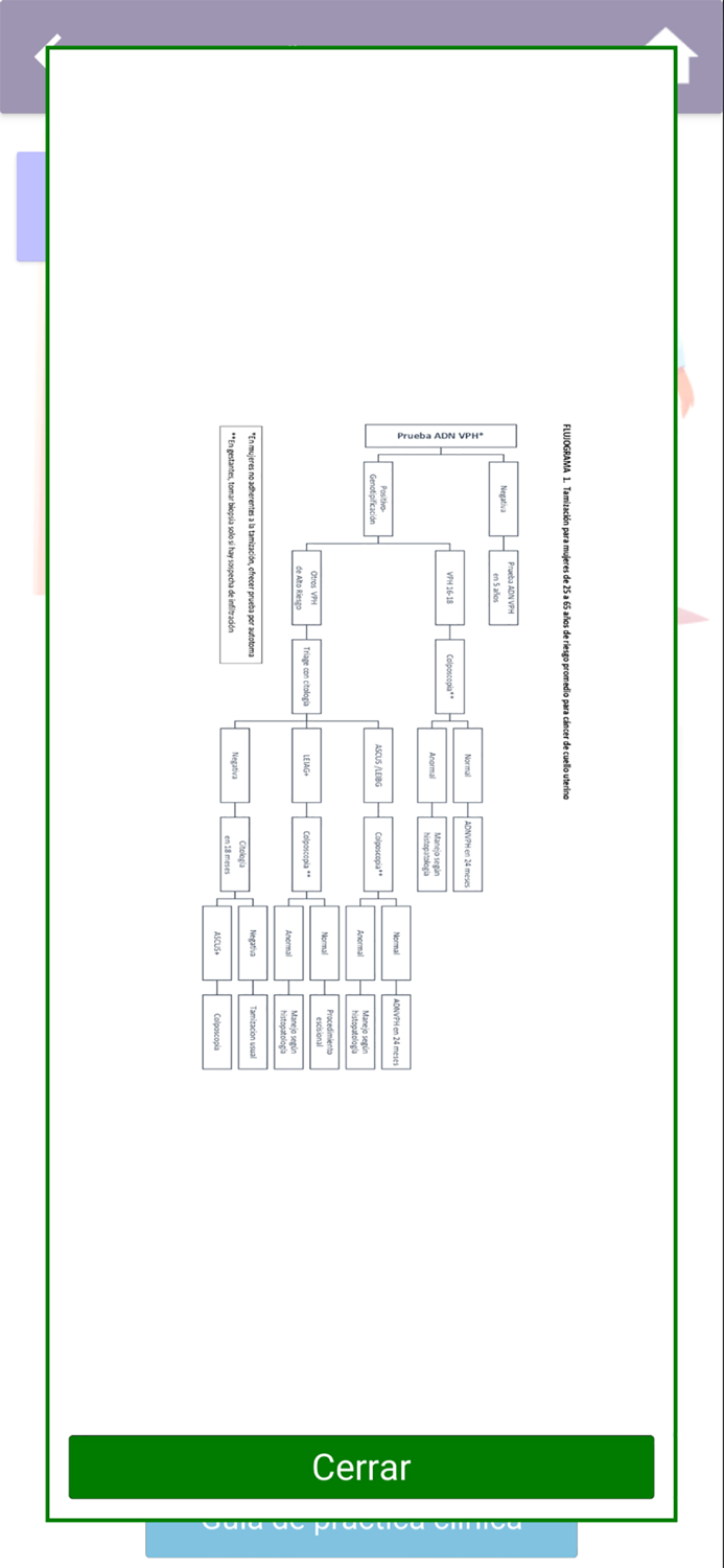 Guía Práctica Clínica ACPTG V2