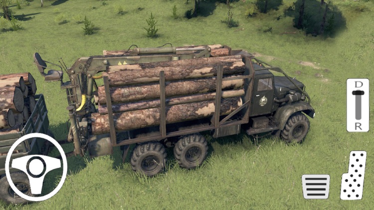 Wood Transport Truck Cargo