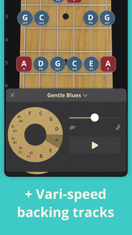 ScaleBank: Guitar Scales screenshot-4