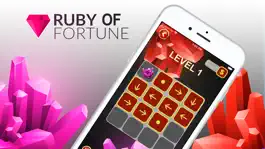 Game screenshot Ruby of Fortune! mod apk