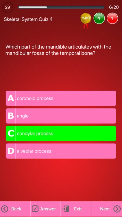 Human Skeletal System Trivia