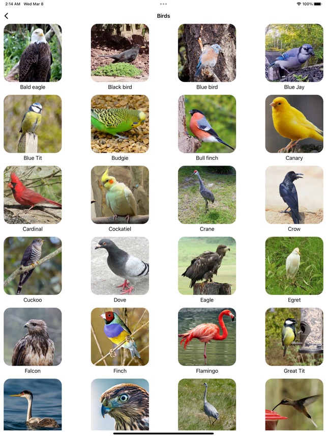 [2024] Animal Sounds Pro & Bird Noise for iPhone / iPad, Windows PC 🔥