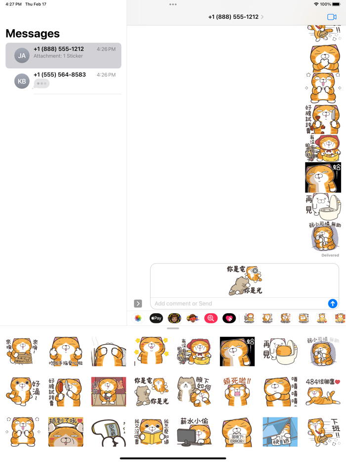 白爛貓28 動不停