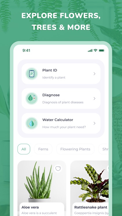 PlantID - Plant identifier++