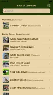 birds of zimbabwe iphone screenshot 1