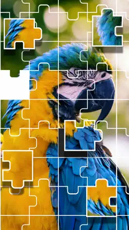 Game screenshot Jigsaw Puzzle : Brain Test mod apk