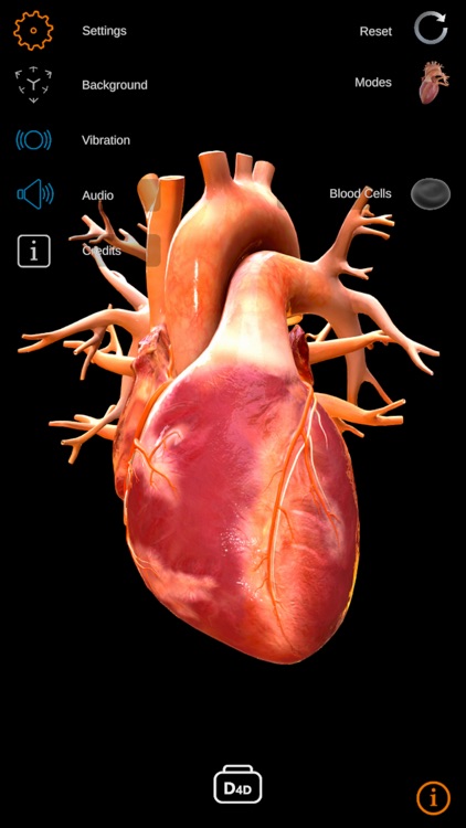 TheHeartPhysiologyApp screenshot-0