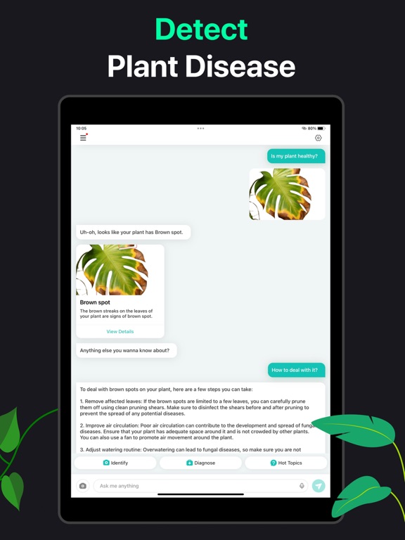 PlantAI: Identifier & Diagnose screenshot 3