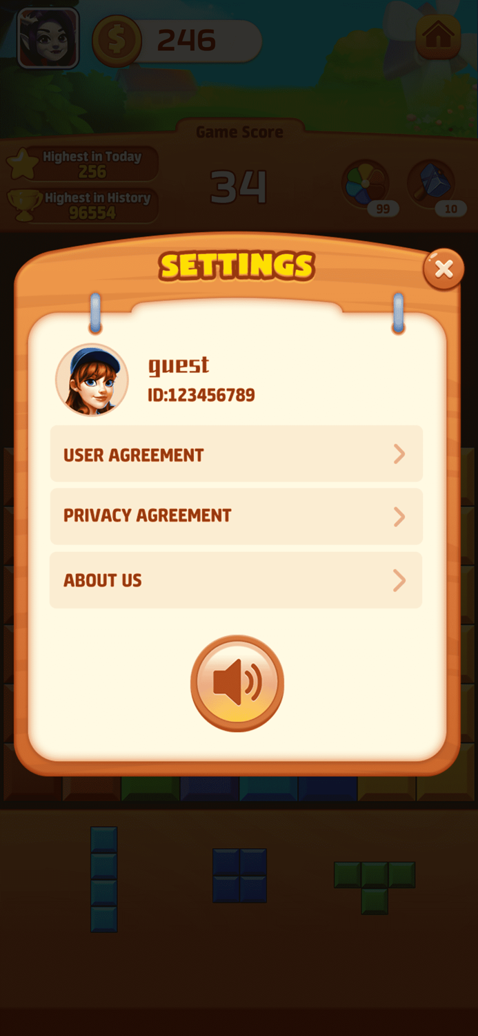 Brick Puzzle Master-Block Game