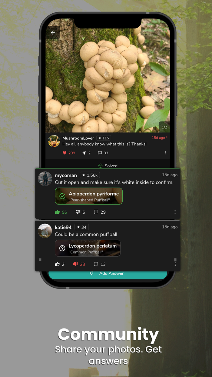 Mushroom Identifier - ShroomID