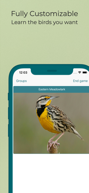 ‎Larkwire—Learn Bird ID Capture d'écran