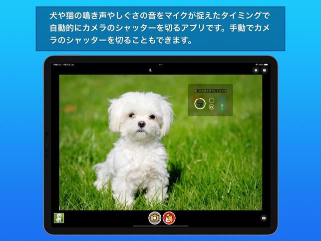 わんにゃんカメラ をapp Storeで