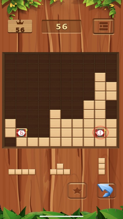 Block Fun Puzzle Pro Premium by Diana Kisil