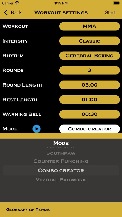 Precision Boxing Coach Pro