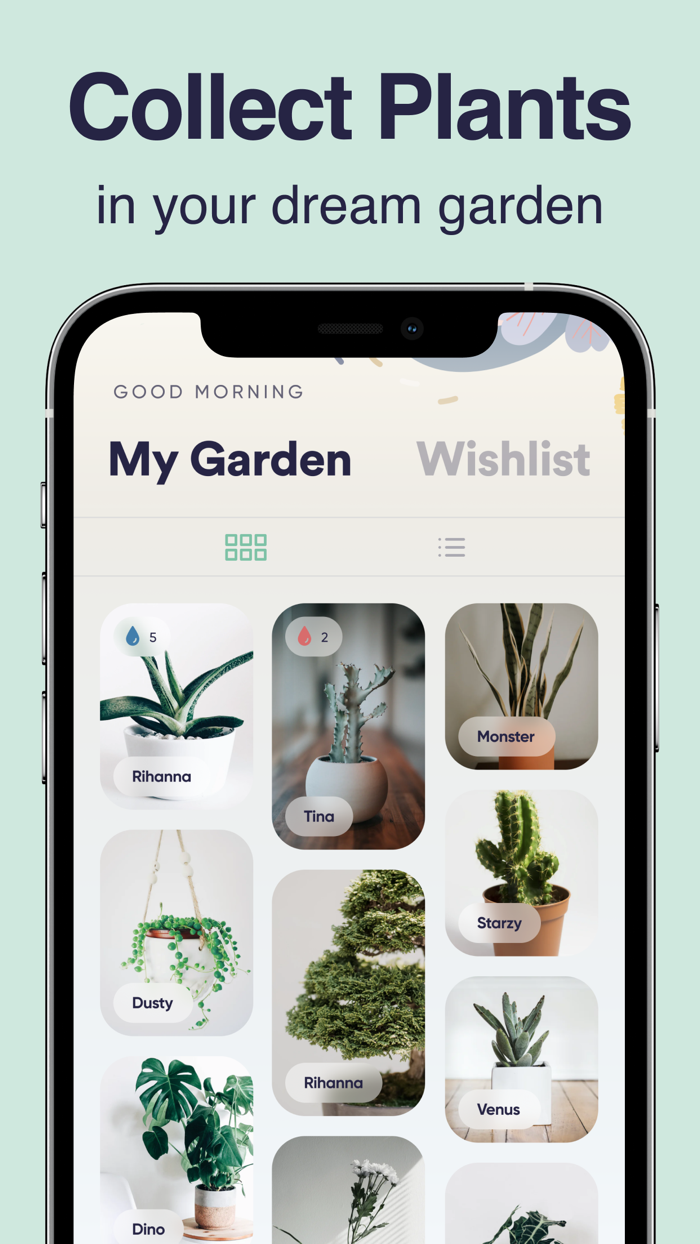 Planty Plant Identifier, Care