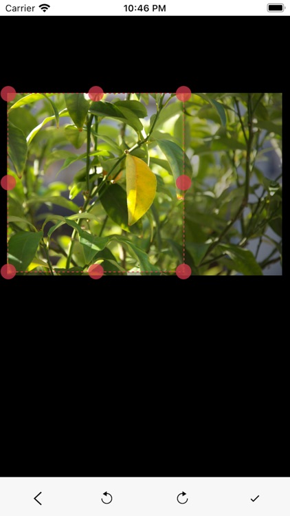 照片压缩-照片格式转换压缩软件 screenshot-3