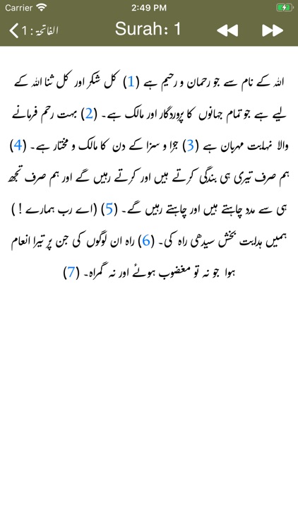Bayan ul Quran - Tafseer screenshot-8
