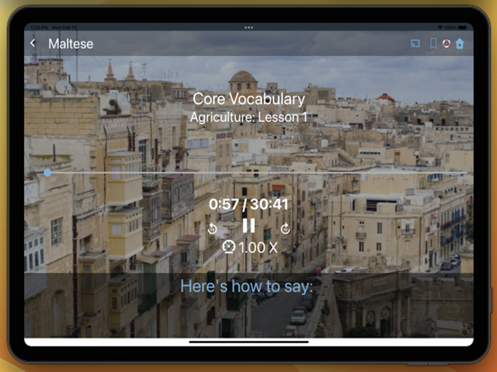 Bluebird Learn Maltese