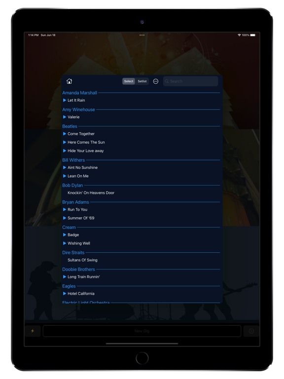 GigBag Song Setlist Manager screenshot 4