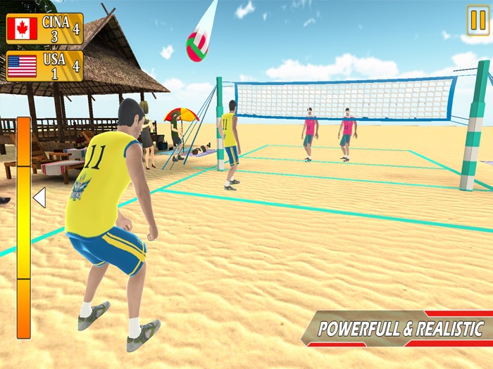 Volleyball Champions Sport 3D