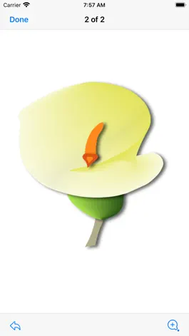 Game screenshot Springtime Flowers 2 apk
